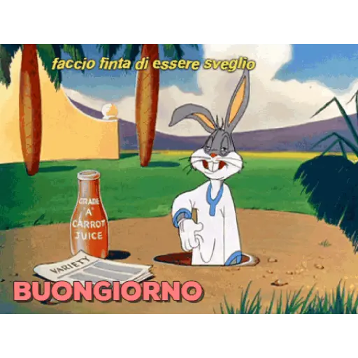 Buongiorno 18