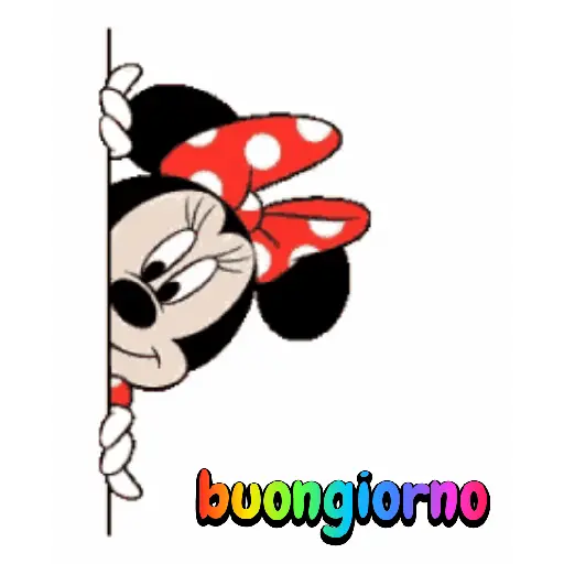 Buongiorno 6