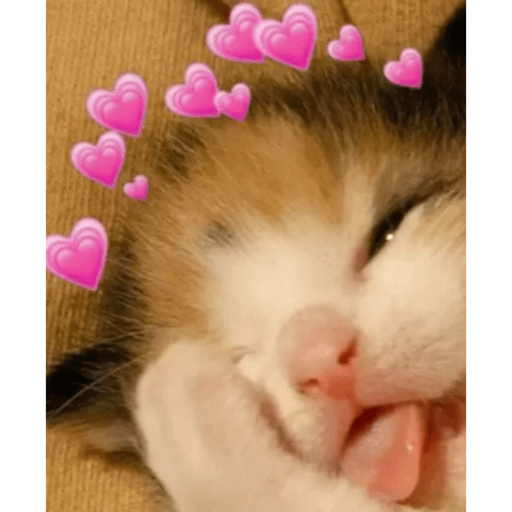 Cat Love sticker
