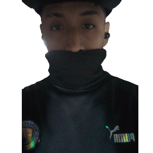 Sticker Image
