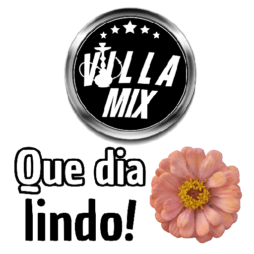 VILLA MIX 24