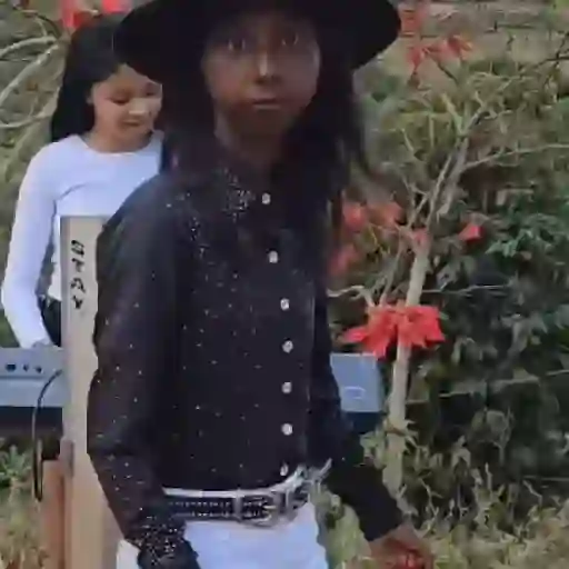 Pau lão 3