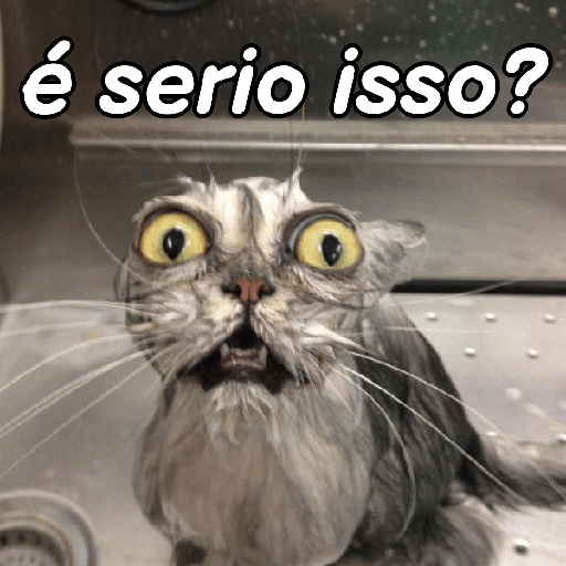 Memes 2 13