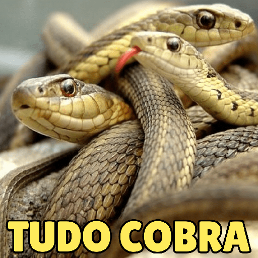 Memes 2 6