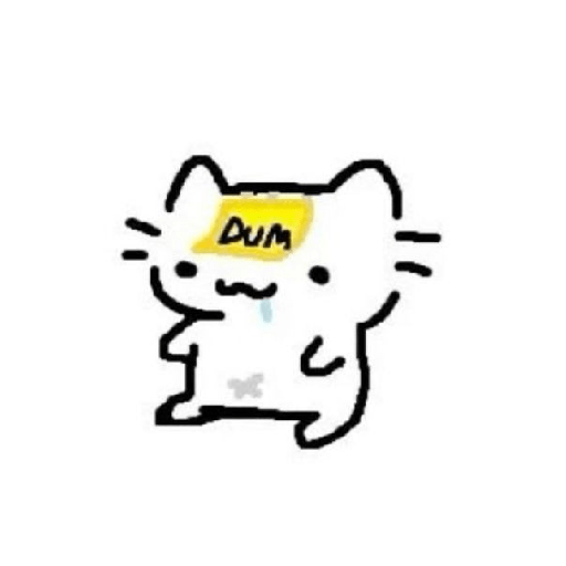 Meme cat 21