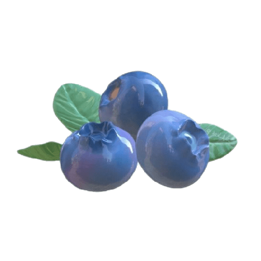 Fruit icon 22