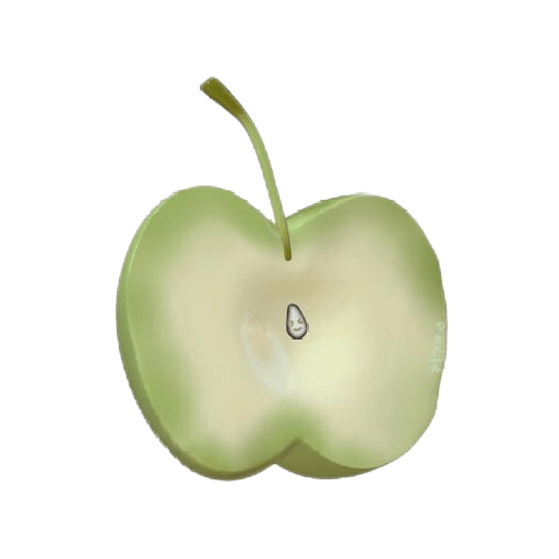 Fruit icon 17