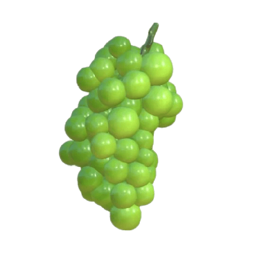 Fruit icon 15