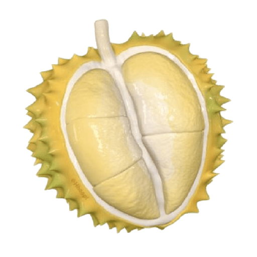 Fruit icon 13