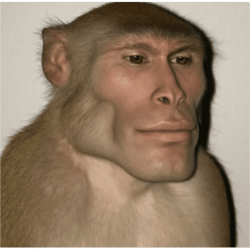 Samolepka