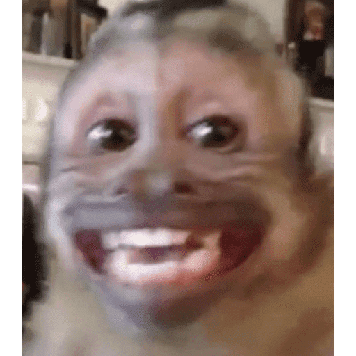Samolepka
