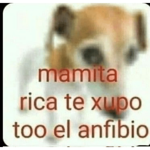 Samolepka