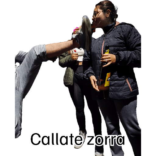 Mis pegatinas 21