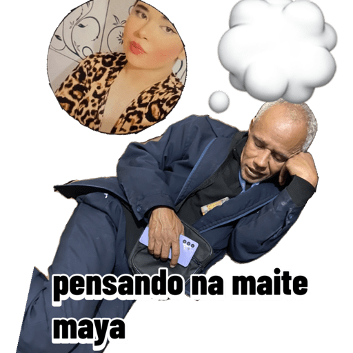 Minhas figurinhas 23