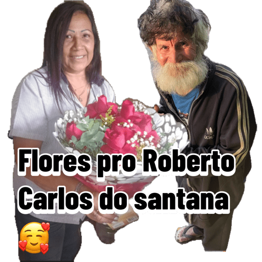 Minhas figurinhas 17