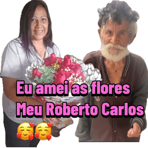 Minhas figurinhas 16