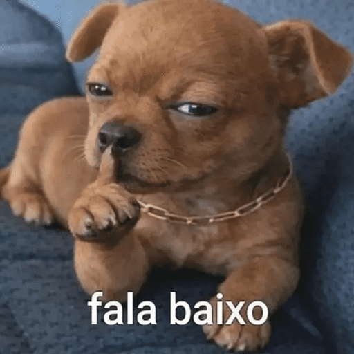 Oi posso fala  14