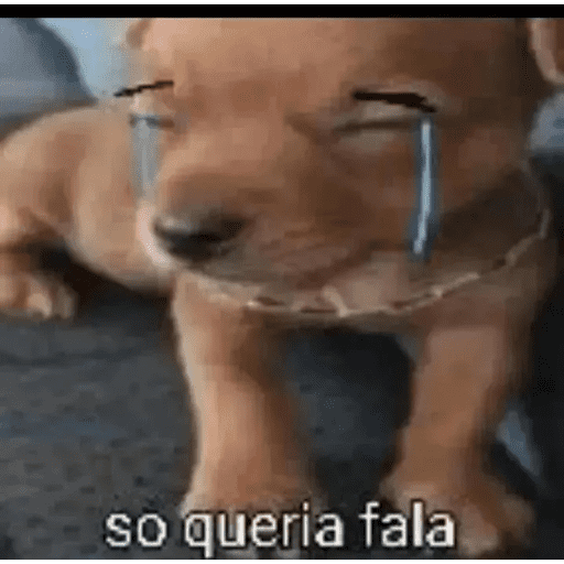 Oi posso fala  13