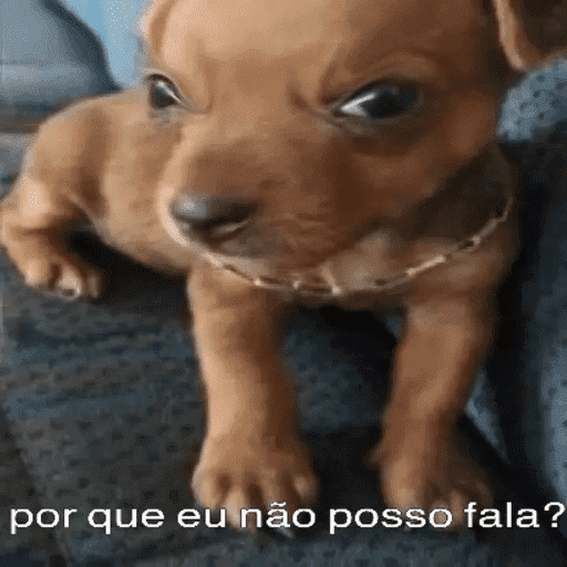 Oi posso fala  15