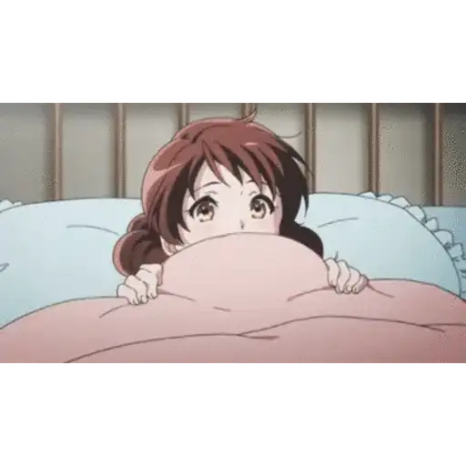 Animado 2