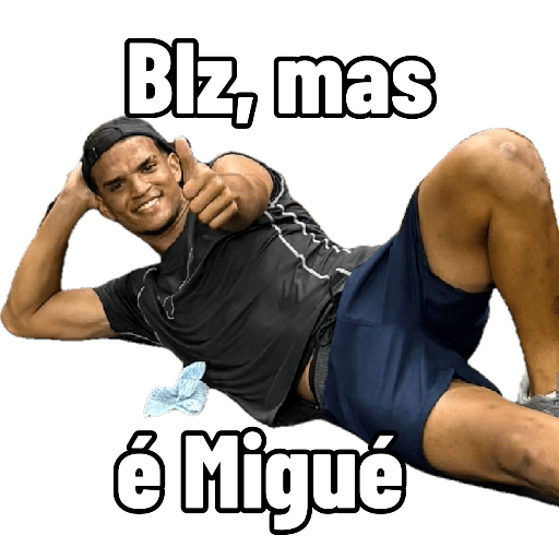 Minhas figurinhas 1