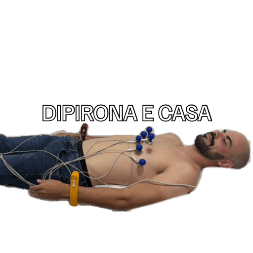Novas 6