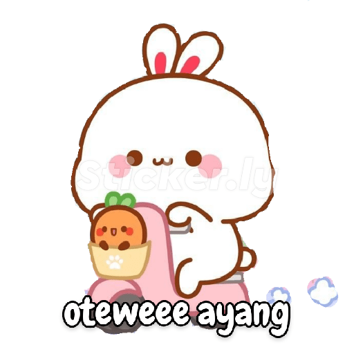 Kucing gemoy random 4