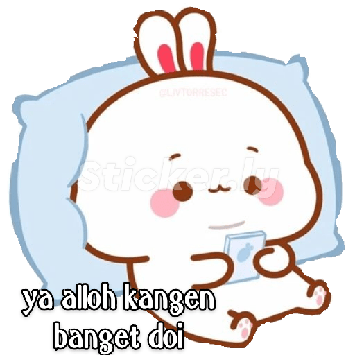 Kucing gemoy random 3