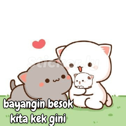 Kucing gemoy random 13