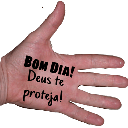 BOM DIA BOA NOITE 6