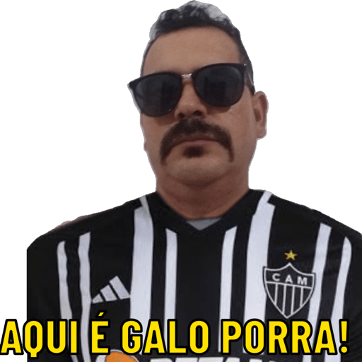 BOM DIA BOA NOITE 16