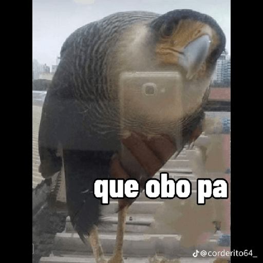 استیکر 10