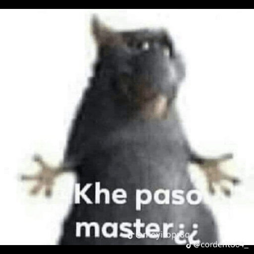 استیکر 13