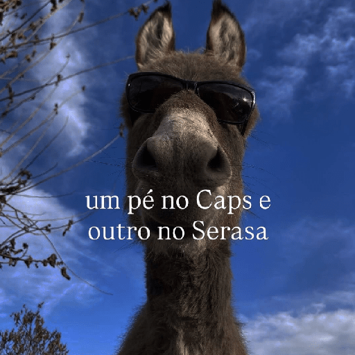 Memes 