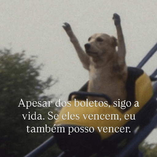 Memes  3