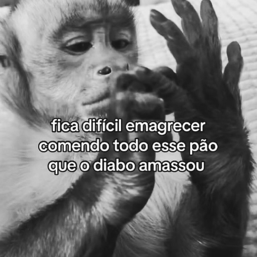 Memes  4