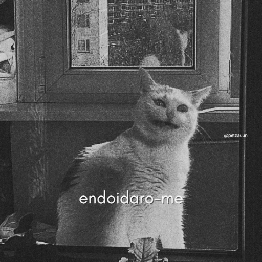 Memes  5