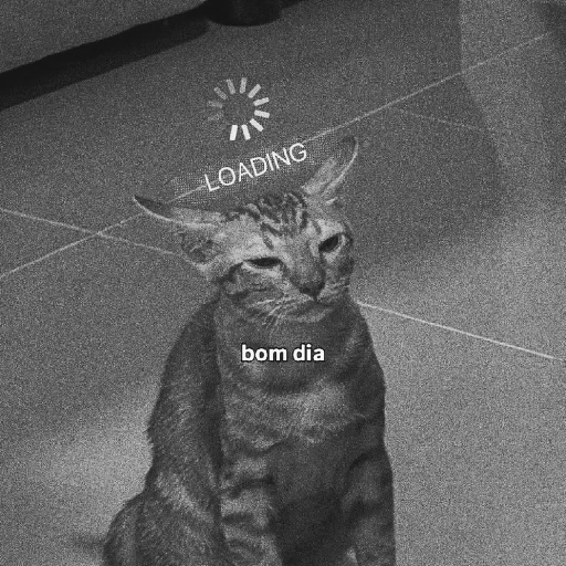 Memes  6