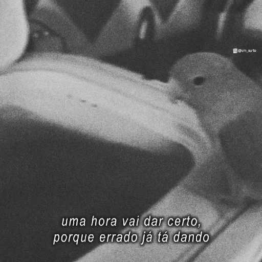 Memes  7