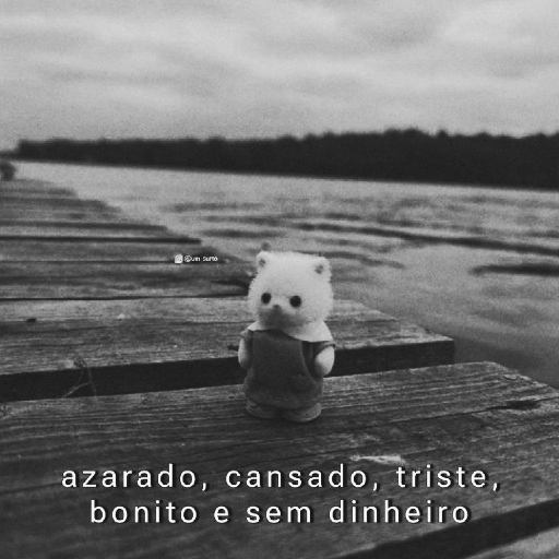 Memes  8