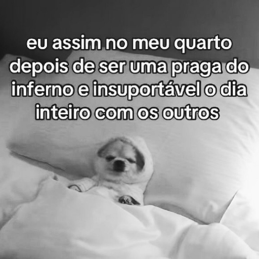 Memes  9