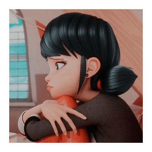 Miraculous ✨✨ 13