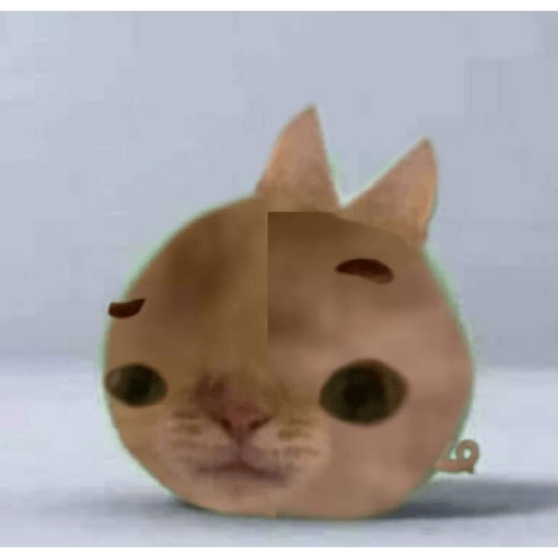 Stickers miado Jajaja q pedo 11