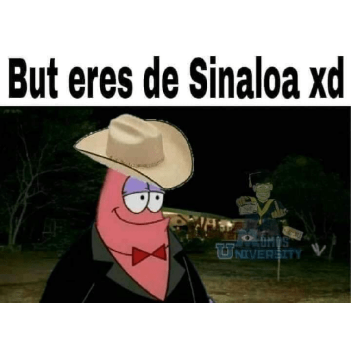 Stickers miado Jajaja q pedo 18