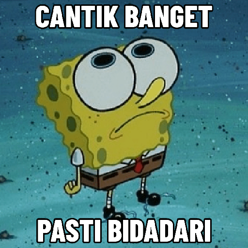 Spongebobb 5