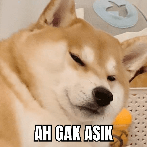 Cute Dog 🐶 2