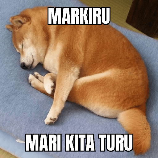Cute Dog 🐶 3
