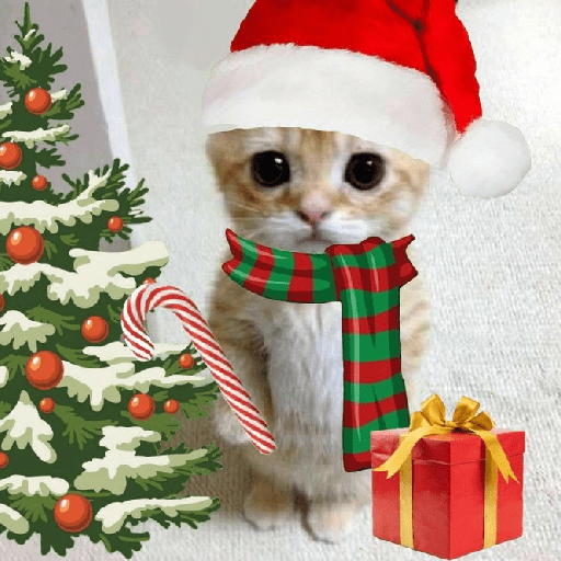 Merry Christmas 🎄🎁 16