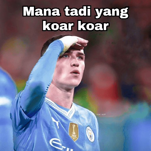 Manchester City 🏆 15