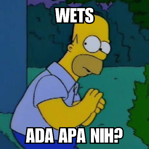 Homer Simpson 😎 8